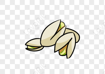 Cartoon Hand Drawn Pistachio Images, HD Pictures For Free Vectors ...