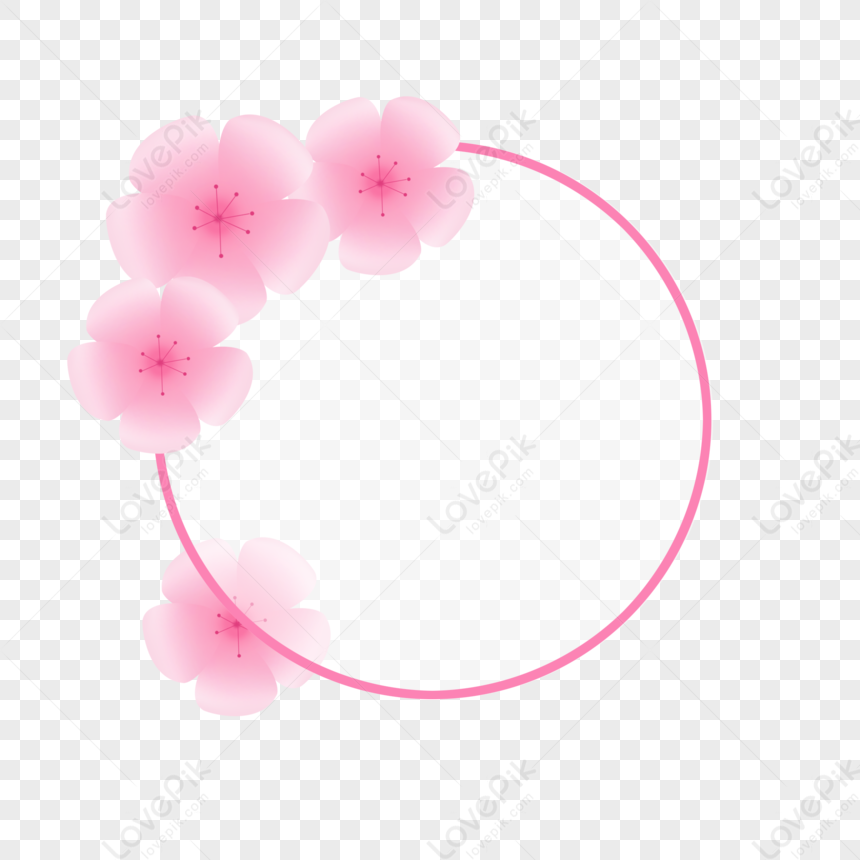 Hình ảnh Sakura Tươi Tròn đẹp PNG Miễn Phí Tải Về - Lovepik