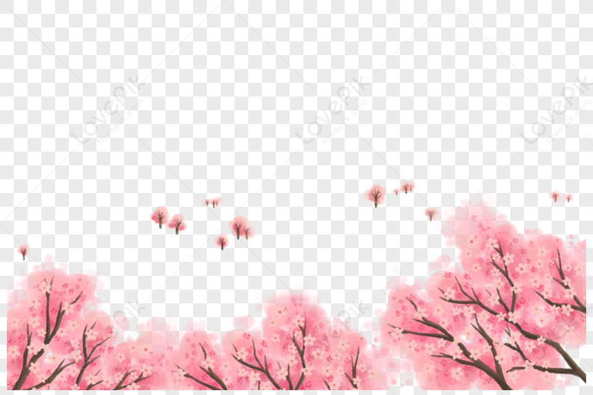 Cherry Tree, Cherry Flower, Cherry Red, Cherry Watercolor PNG Hd ...