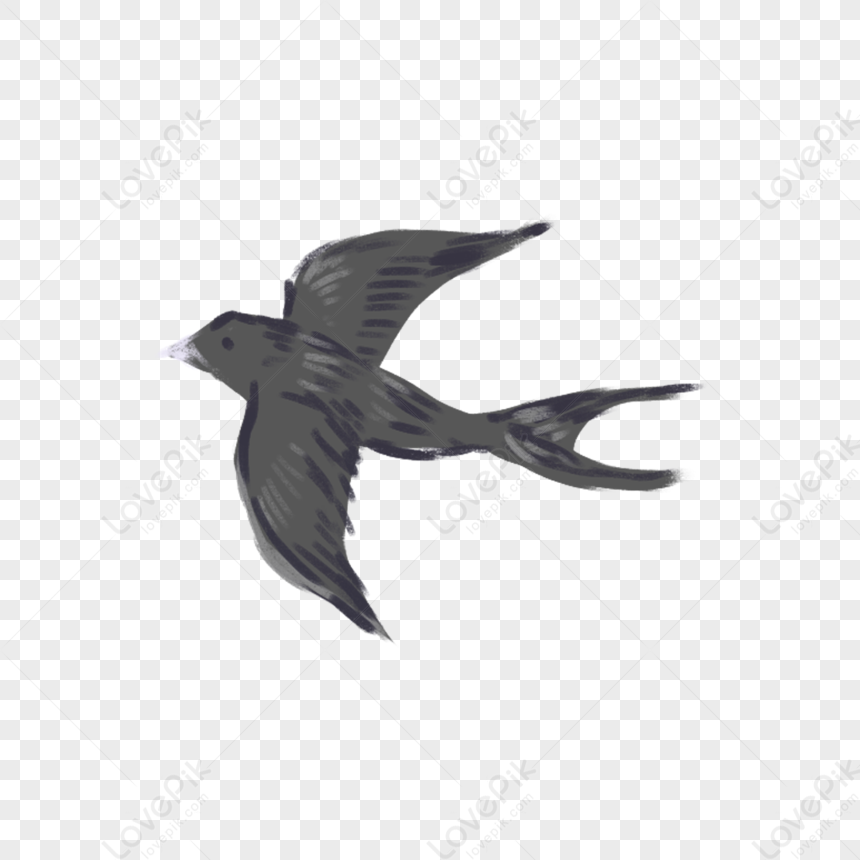 Flying Swallow, Bird Flying, Cartoon Swallow, Bird Swallow PNG ...