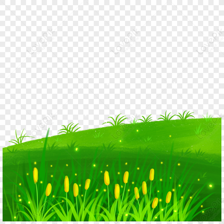 Cây cỏ ngọt có lợi ích gì cho sức khỏe?
