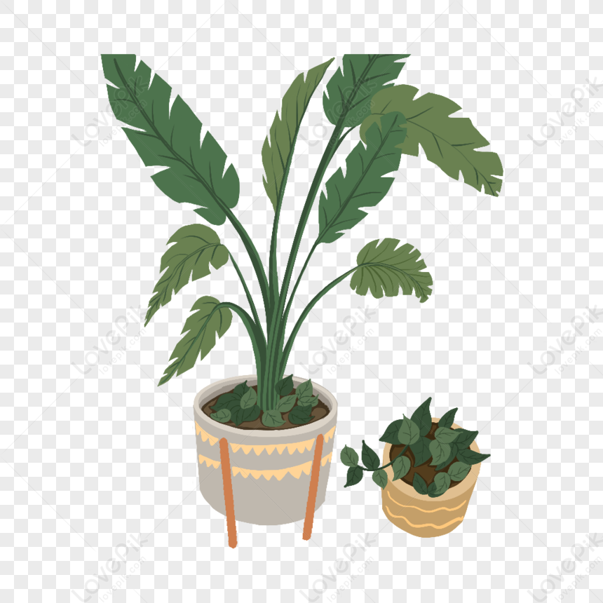 Hand Drawn Plant Leaf Plant Vector Flower Plant Plant Pot PNG White Transparent And Clipart