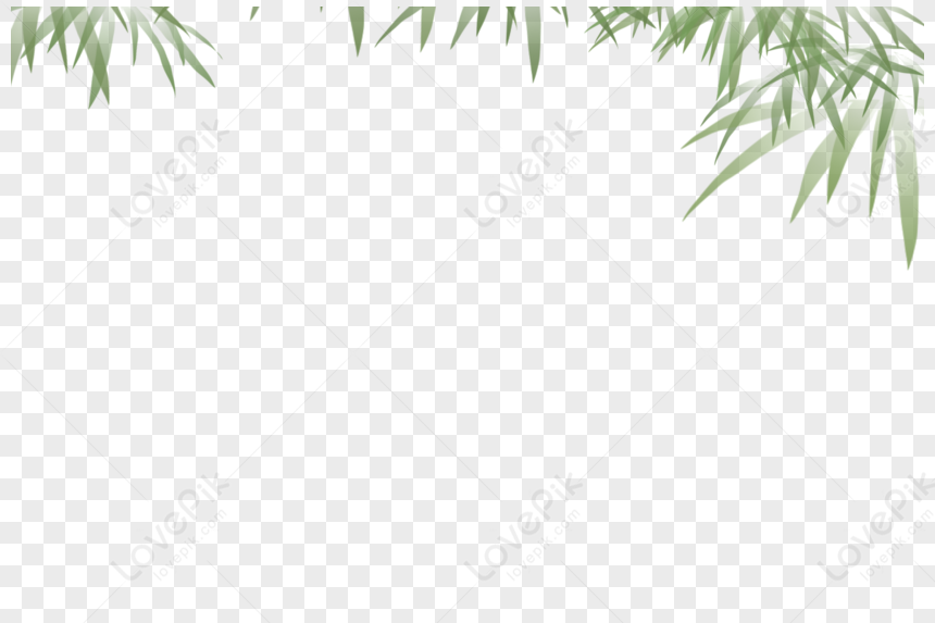 Leaf Pattern, Leaf Vector, Grass Leaf, Bamboo Leaf PNG Picture And ...