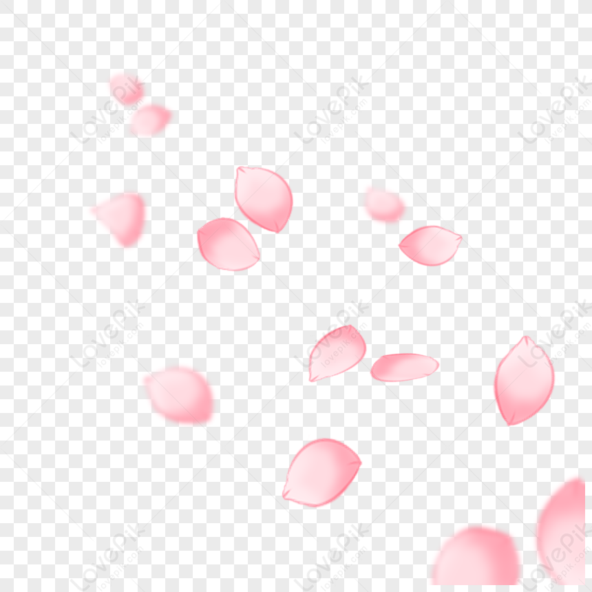 Pink Petals PNG Transparent Background And Clipart Image For Free ...