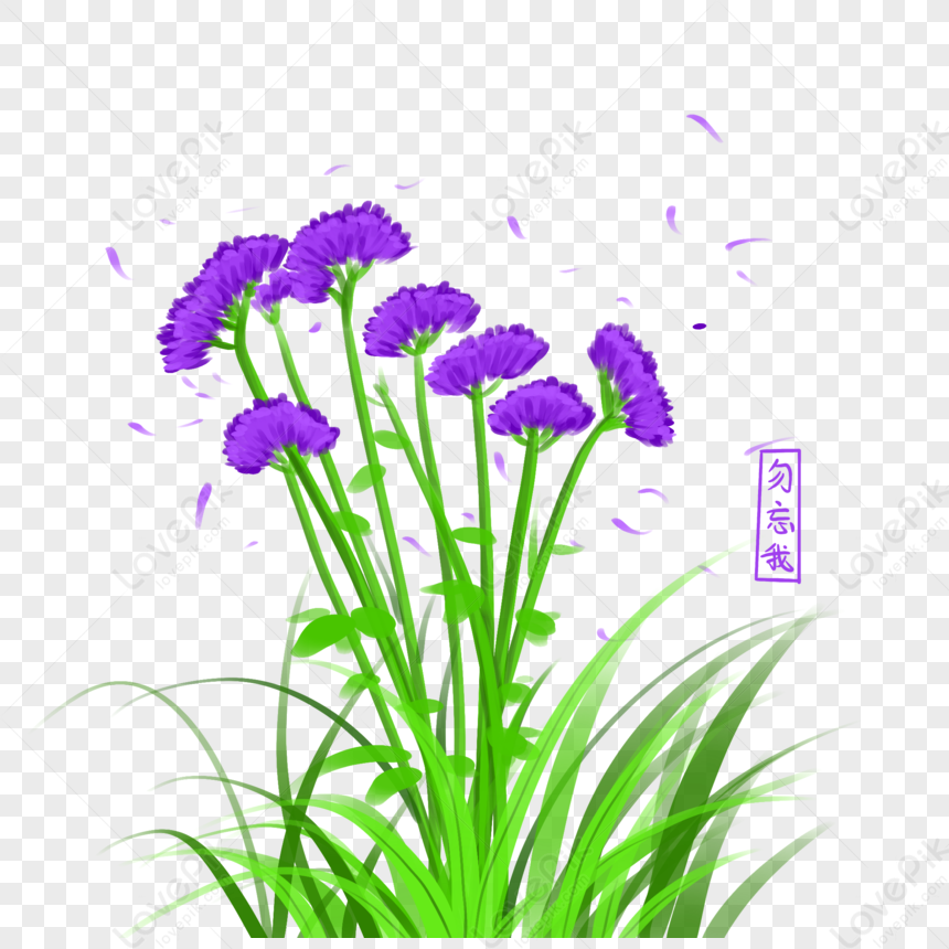 Plants Dont Forget Me Flowers And Plants, Flowers Green, Flowers Purple ...