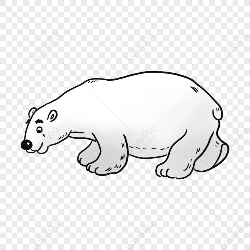 Polar Bear Bear Cartoon Polar Bear Cartoon Polar Bear Png