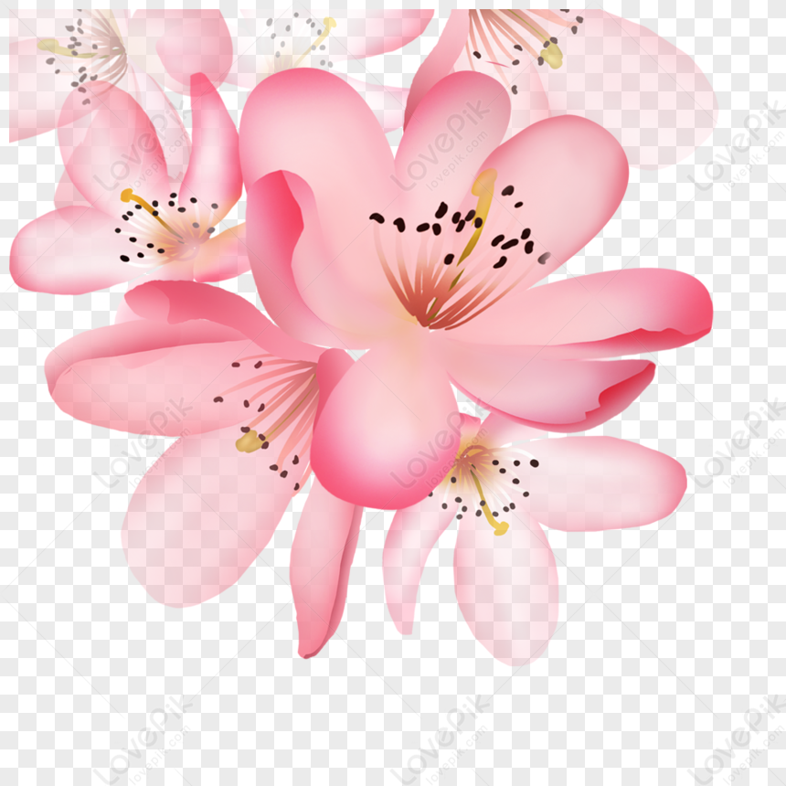 incas clipart flower