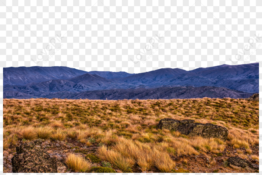 Alpine Grassland, Landscape Mountains, Grassland, Autumn Grass PNG ...