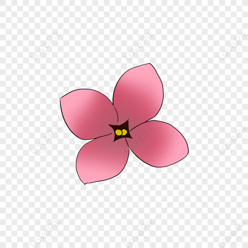 Bonitas Flores De Color Rosa Pálido PNG Imágenes Gratis - Lovepik