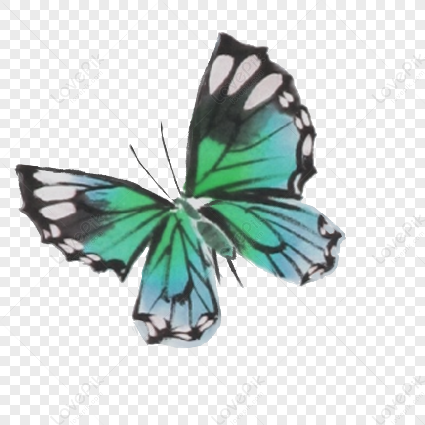 Butterfly PNG Transparent Image And Clipart Image For Free Download -  Lovepik | 401118657