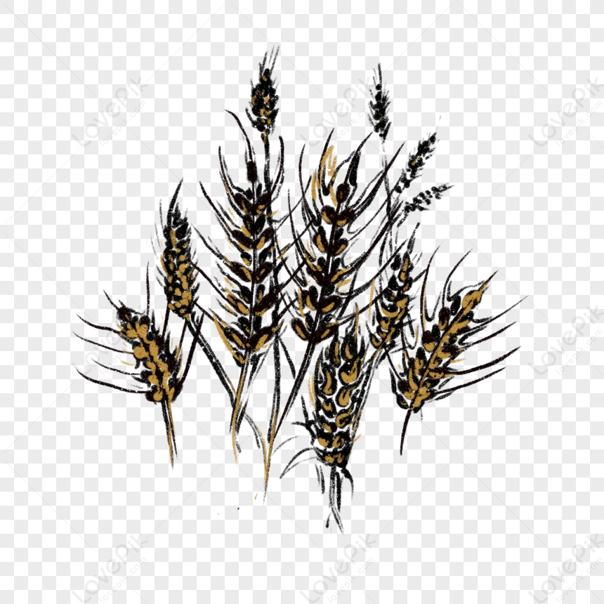Cartoon Wheat Creative Illustration PNG Transparent And Clipart Image For  Free Download - Lovepik | 401123706