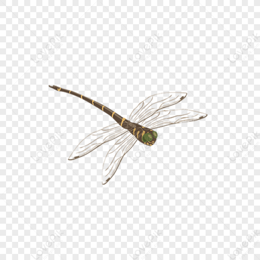 Dragonfly, Brown Dark, Dark Light, Green Light PNG Picture And Clipart ...