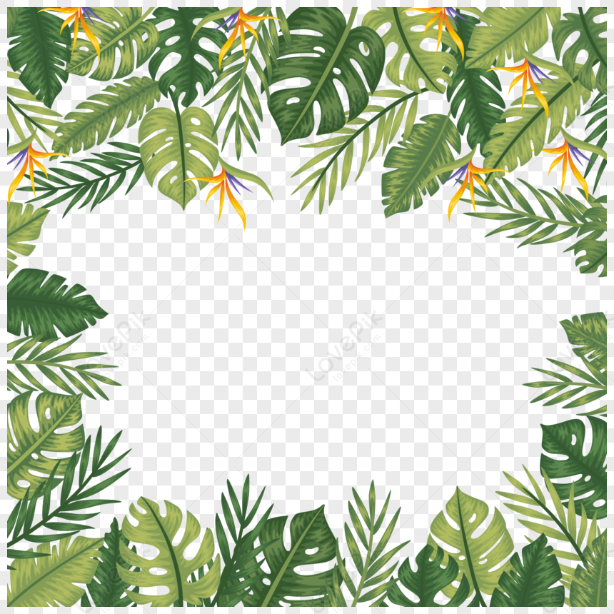 Green Plant Border PNG White Transparent And Clipart Image For Free ...