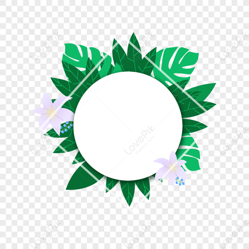 Lily Green Plant Border PNG Transparent Background And Clipart Image ...