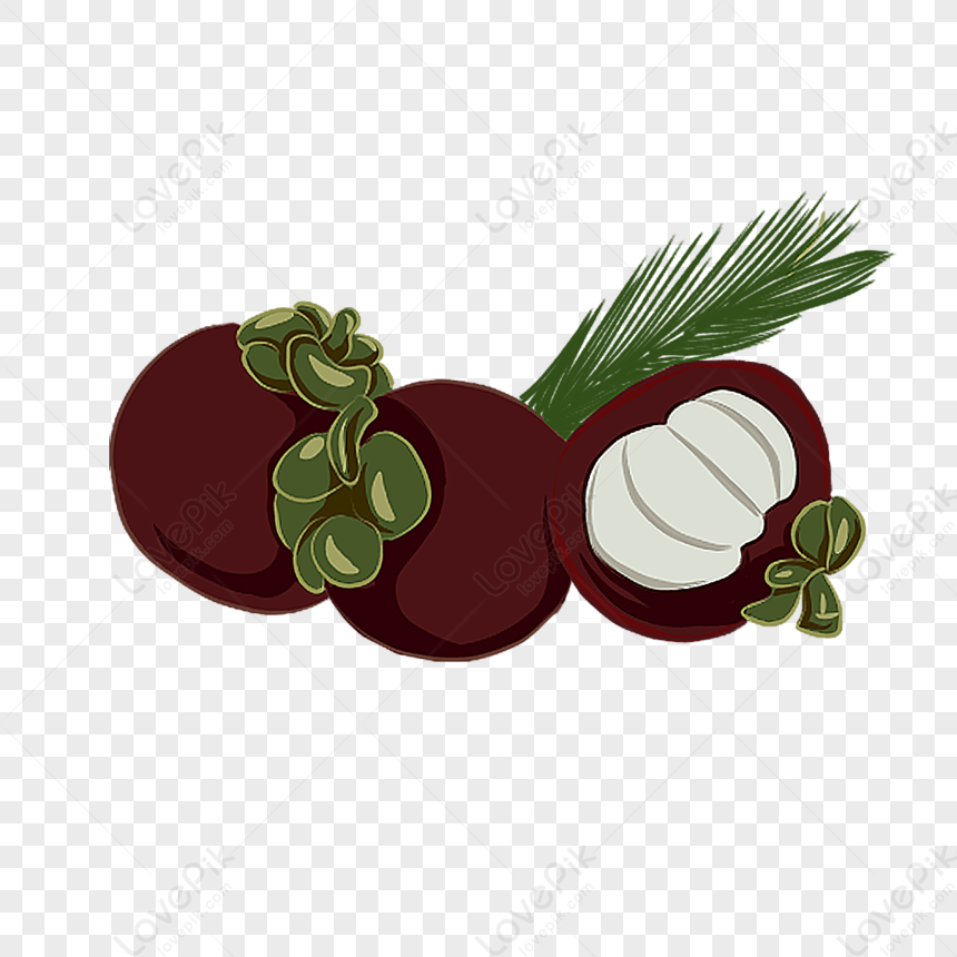 Mangosteen PNG Image Free Download And Clipart Image For Free Download ...