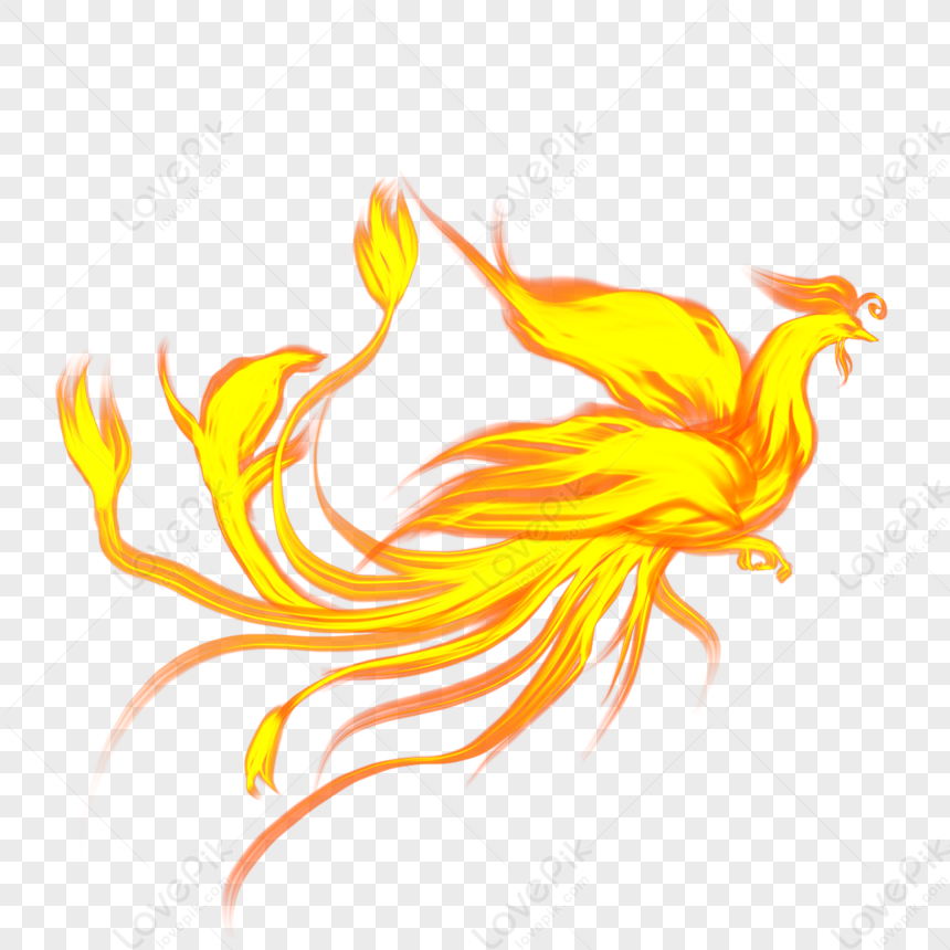 Phoenix In China, Fire Phoenix, Bird Phoenix, Chinese Phoenix Free PNG ...