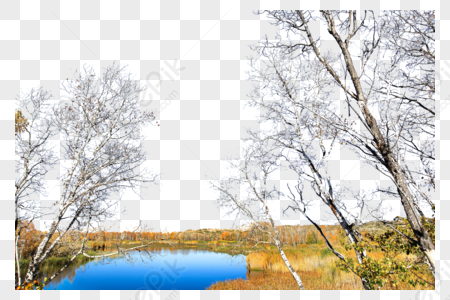 Natural PNG Images With Transparent Background | Free Download On Lovepik