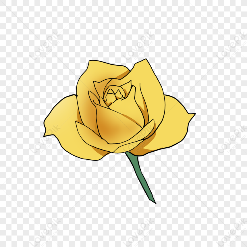 Rosa Amarilla PNG Imágenes Gratis - Lovepik