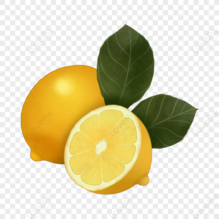 Cartoon Realistic Lemon Illustration Png Hd Transparent Image And