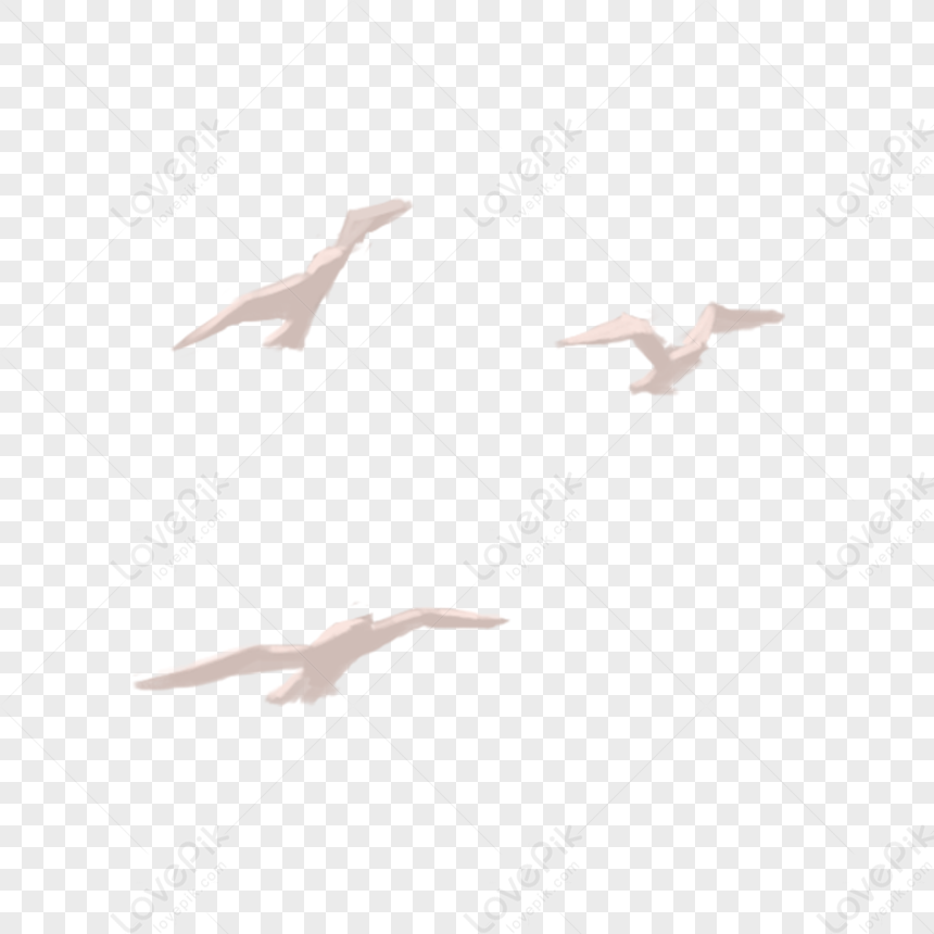 Flying Birds PNG White Transparent And Clipart Image For Free Download Lovepik 401141082