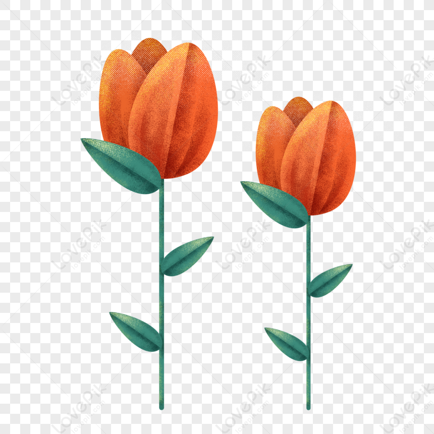 Hand Painted Tulip Flowers PNG Transparent Background And Clipart Image For  Free Download - Lovepik | 401150170