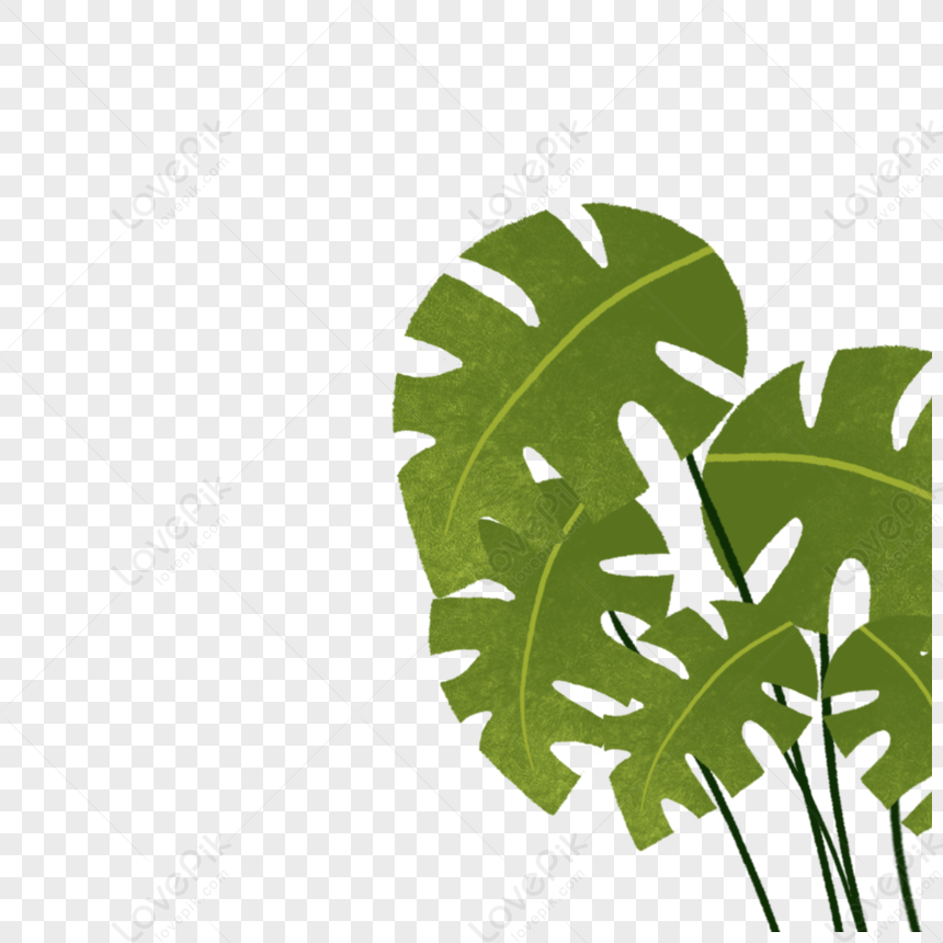 Healing Green Plant Materials Image Png Picture And Clipart Image For 