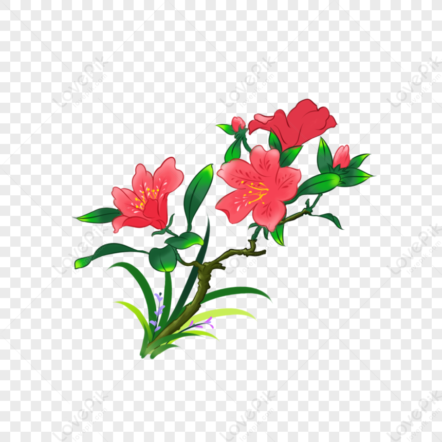 flowers free download illustrator