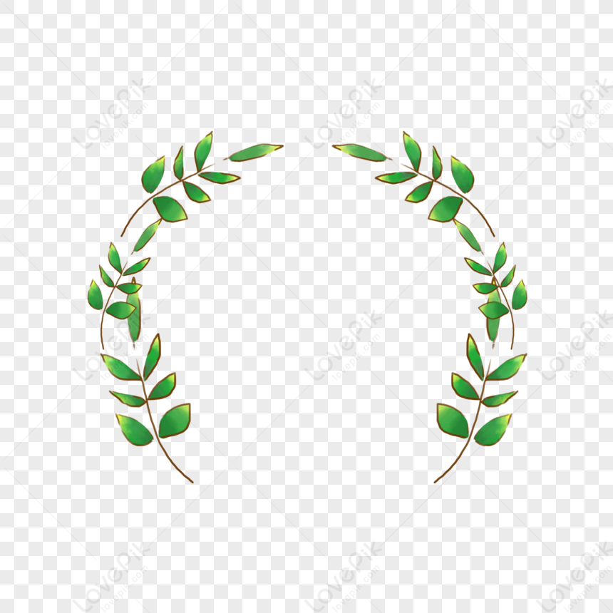 Leaf Border, Leaf Vector, Leaf Olive, Green Leaf PNG Transparent Image ...