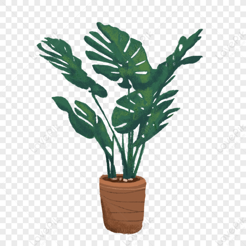 Monstera Plant, Plant Pot, Green Plant, Minimalist Plant PNG ...