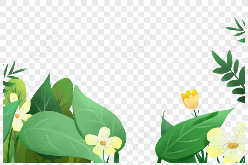 Native Plants Illustration Image PNG Hd Transparent Image And Clipart ...