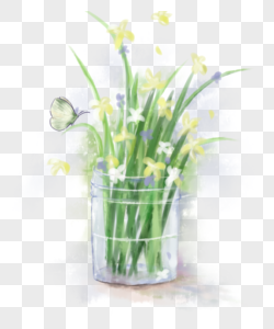 Orquídea Blanca PNG Imágenes con Fondo Transparente | Descarga Gratuita en  