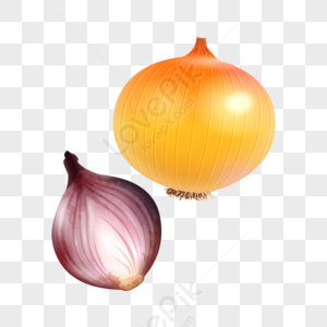 Onion PNG Images With Transparent Background | Free Download On Lovepik