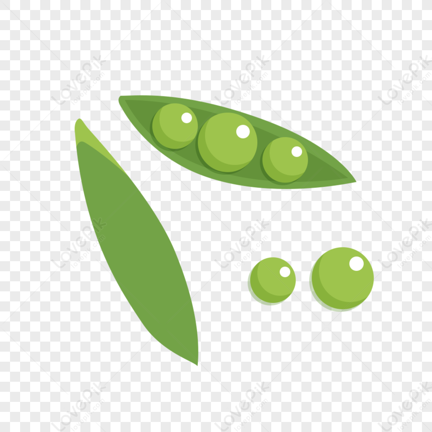Beans PNG Transparent And Clipart Image For Free Download - Lovepik ...
