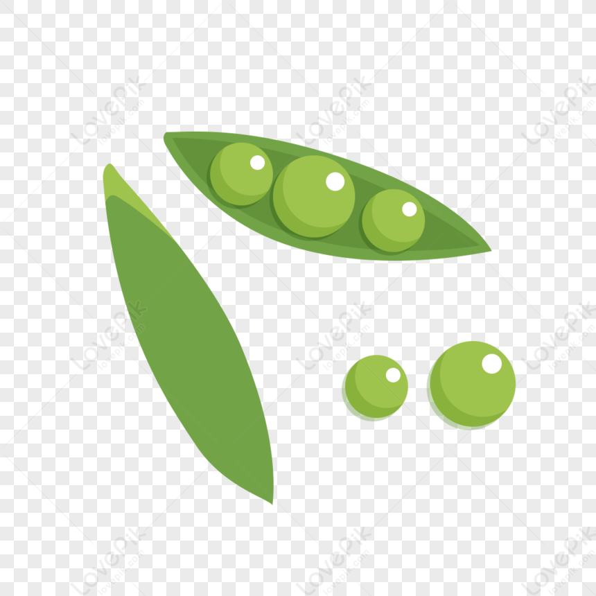 Beans, Green Peas, Green Healthy, Food Vector PNG Transparent ...