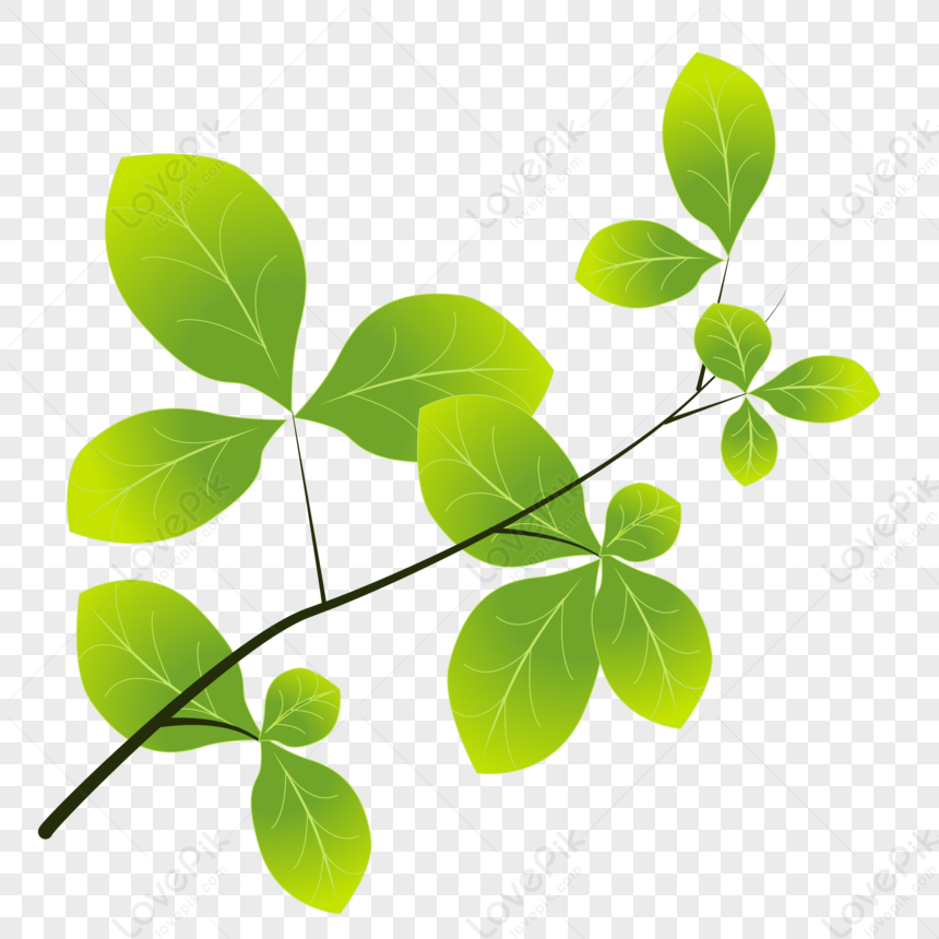Green Leaf PNG Images With Transparent Background | Free Download On Lovepik