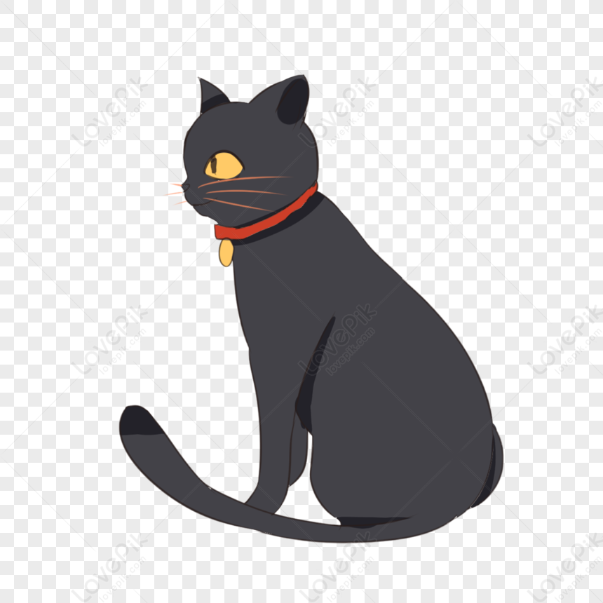 Black Cat, Black Vector, Cat Collar, Cat Vector PNG Transparent Image ...