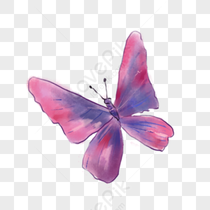 Butterfly PNG Images With Transparent Background | Free Download On Lovepik