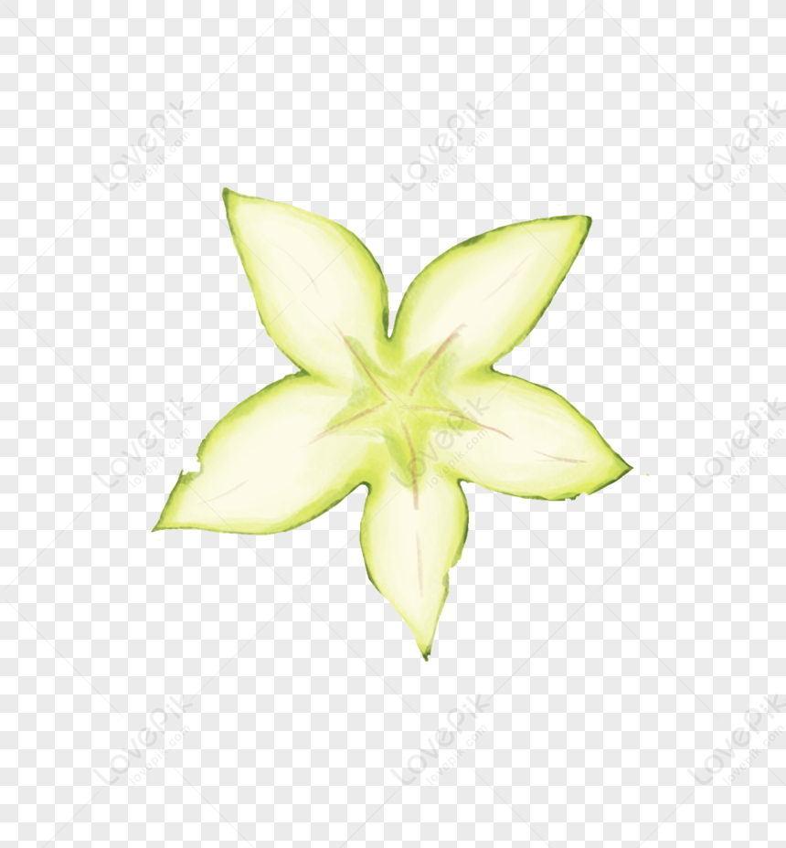 Cartoon Hand Drawn Fresh Beautiful Flowers Free PNG And Clipart Image ...