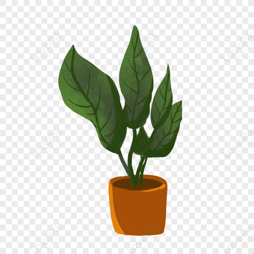 Cartoon Potted Plant Leaves Picture, Plant Vector, Plant Pot, Green ...