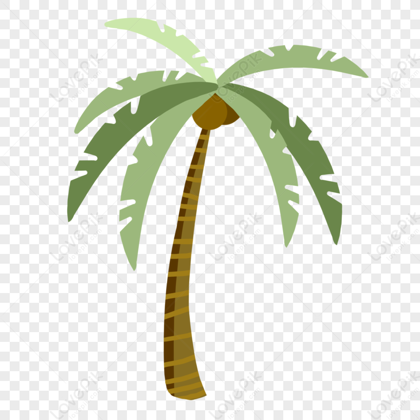 Coconut Tree PNG Picture And Clipart Image For Free Download - Lovepik ...