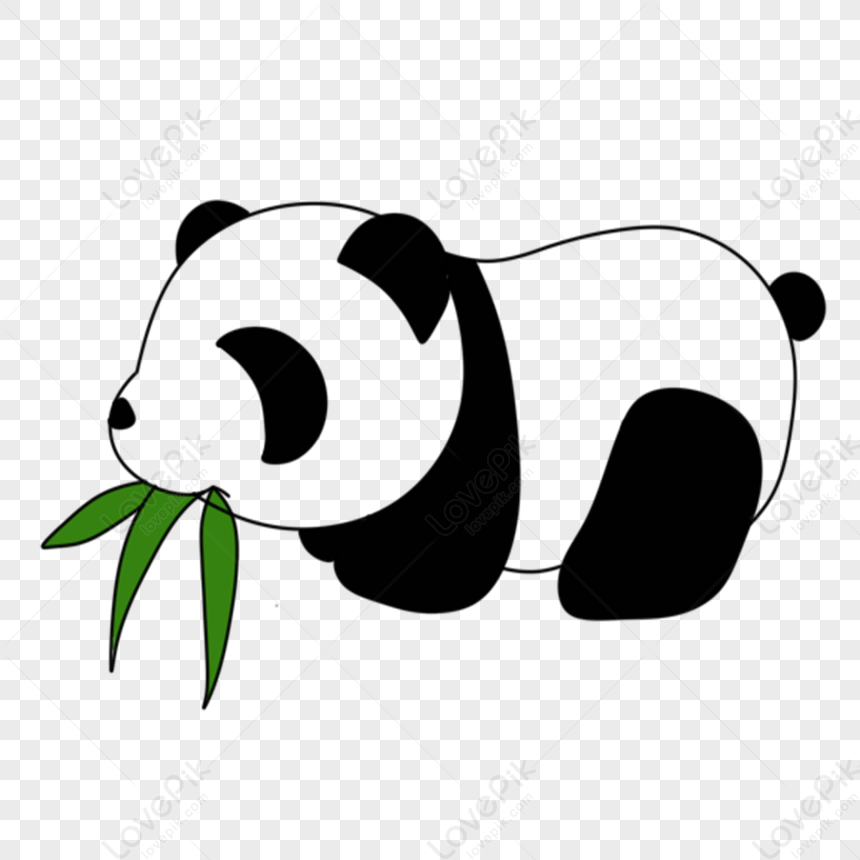Desenho de urso panda gigante, panda, pintado, animais, mão png