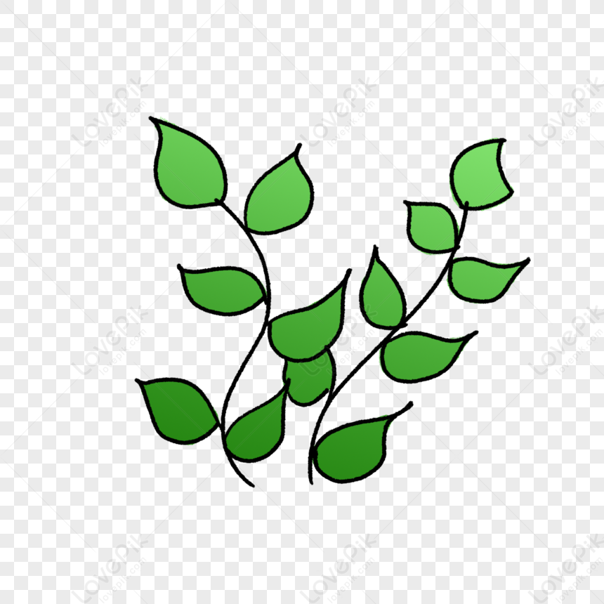 Lá Dương Xỉ PNG: Hãy khám phá vẻ độc đáo của lá dương xỉ thông qua hình ảnh PNG chất lượng cao. Những chi tiết tinh tế trên lá sẽ khiến bạn phải trầm trồ và thích thú với sự đặc biệt của loài cây này.