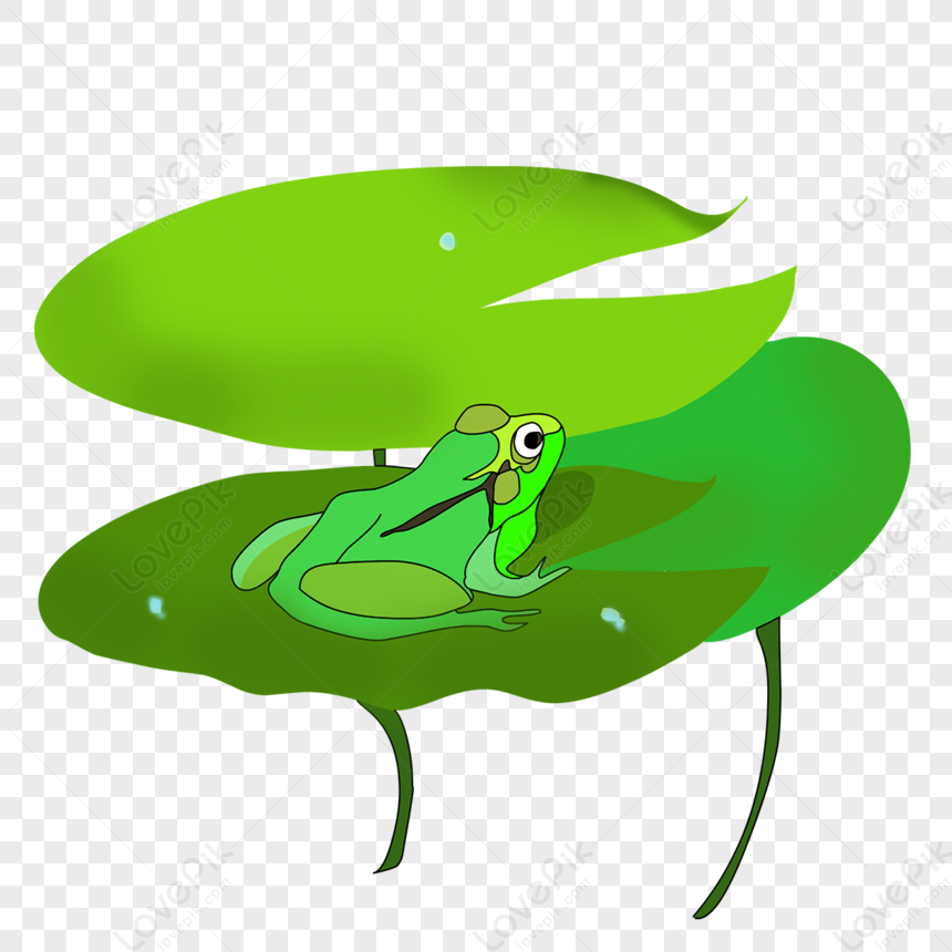 Frog On Lotus Leaf, Green Leaf, Cartoon Frog, Leaf Vector PNG Image ...