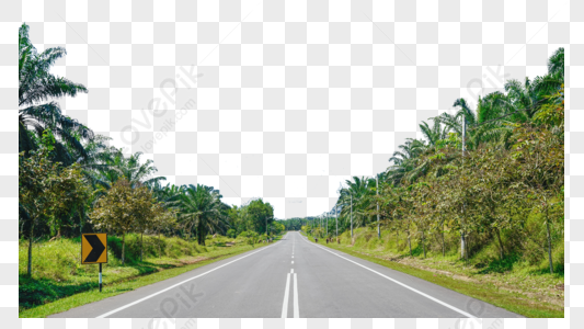 Road Greening PNG Images With Transparent Background | Free Download On  Lovepik