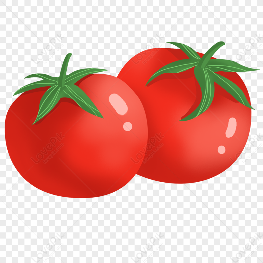 Harvest Of Tomatoes, Red Tomato, Art Vector, Red Tomatoes PNG White ...