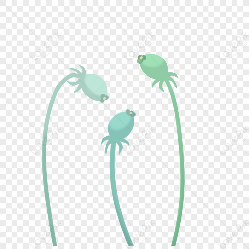 copepod clipart of flowers