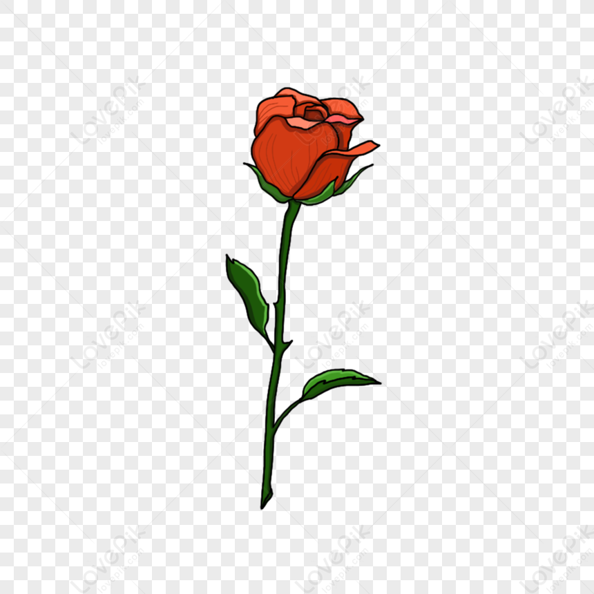 Valentine đến rồi, hãy để bông hồng tặng người mà bạn yêu thương, với màu sắc tươi tắn và hương thơm ngát ngào, sẽ là lời chúc phúc và tình yêu đậm đà nhất.