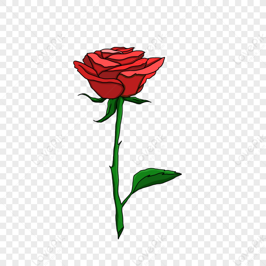 Nếu tình yêu được biểu tượng hoá bằng một loài hoa, thì bông hồng là sự lựa chọn hàng đầu. Với những bông hồng đỏ rực, bạn sẽ hiểu được những cảm xúc tình yêu thật sự với sự thăng hoa của tình yêu đầy mãnh liệt và lãng mạn. Hãy cùng để bông hồng Valentine đưa bạn đến trái tim người ấy!