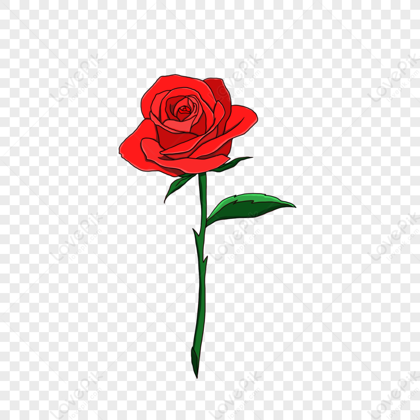 Bông hồng đẹp là niềm tự hào của mùa Valentine. Hãy xem những hình ảnh bông hồng này và cảm nhận sự quý giá và đẹp đẽ của tình yêu trong thời điểm đặc biệt này.