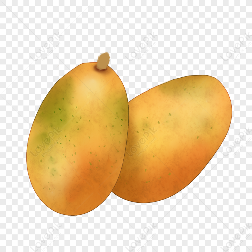 papaya illustration free download